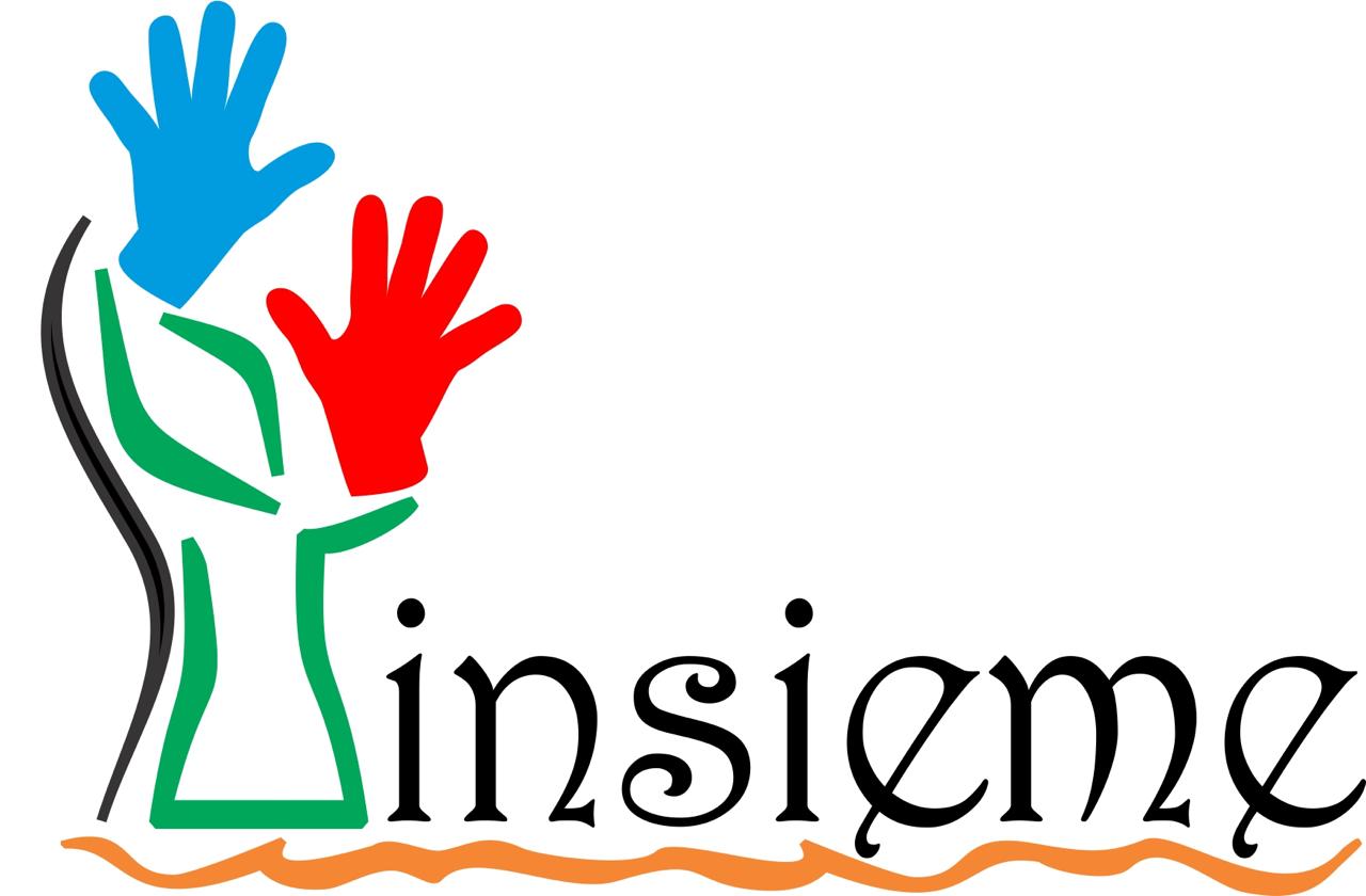 Insieme Organization
